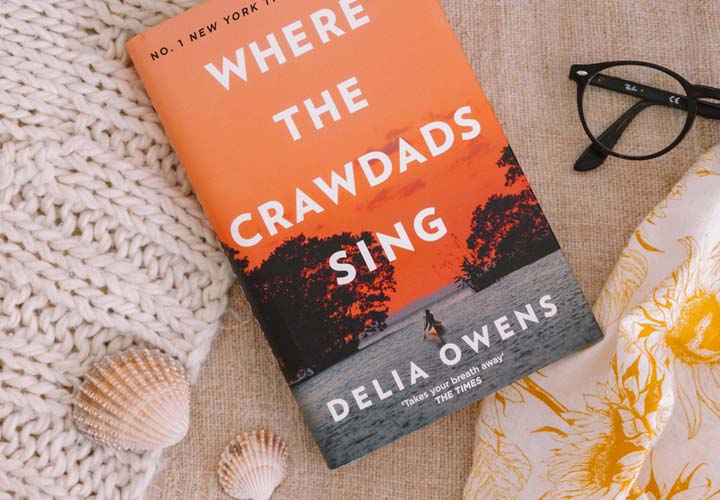 Where the Crawdads Sing e-book